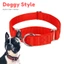 PET ACCESSORIES ef_pc_petc0v671p00155 in Sri Lanka